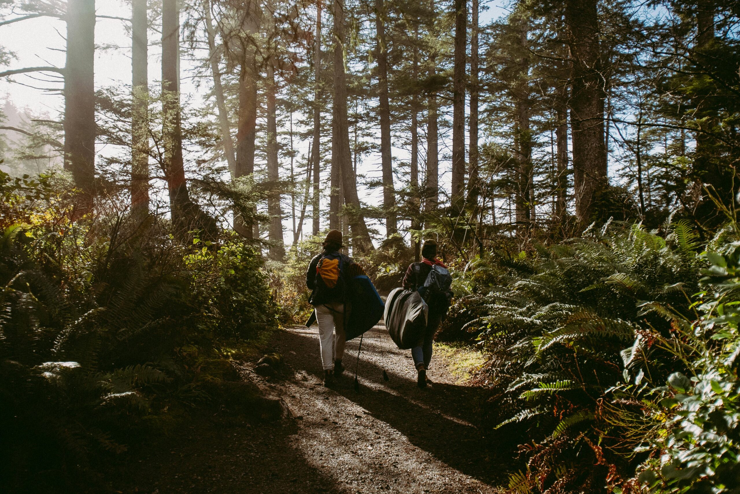 Travel Green: Your Guide to Sustainable Adventures