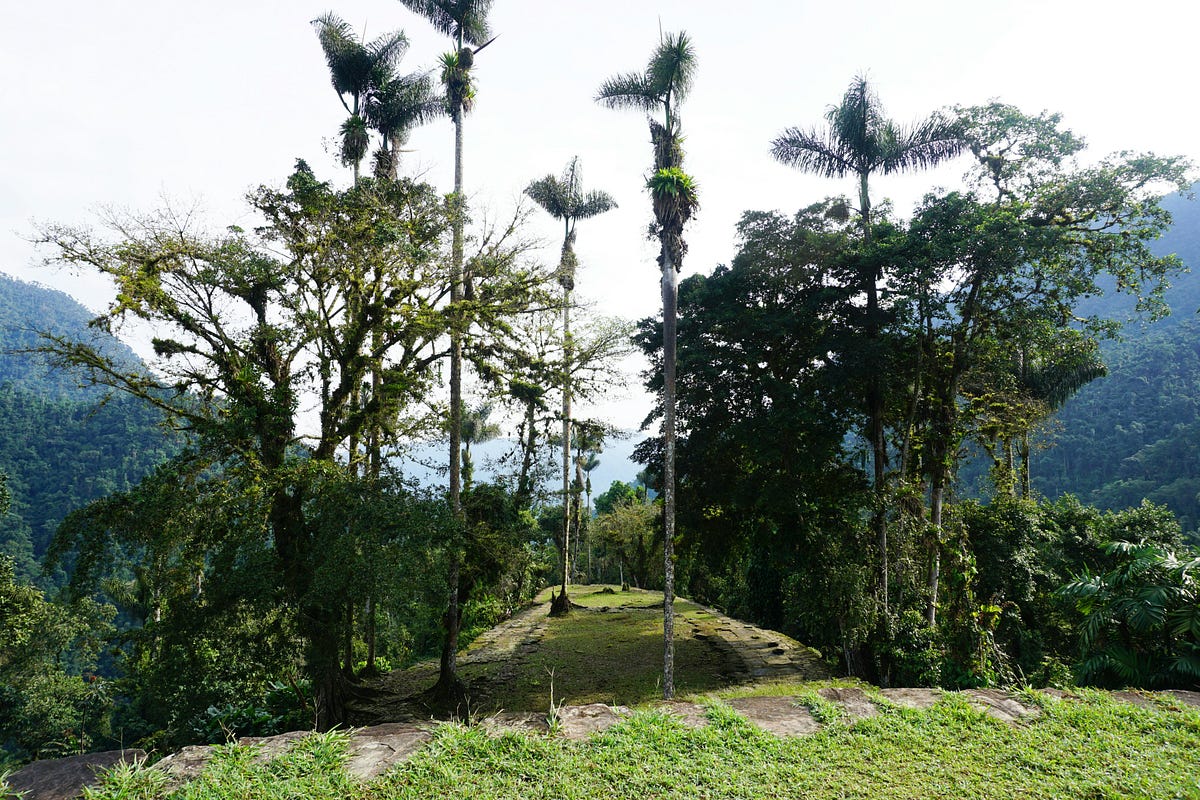 The 1 Jungle Story I’ll Never Forget from Colombia’s Lost City Trek